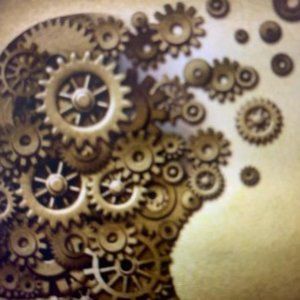 Meet your Posher, Robin